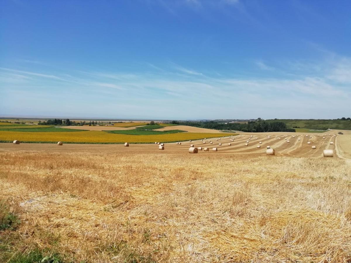 ホテル Chateau Des Salles Saint-Fort-sur-Gironde エクステリア 写真