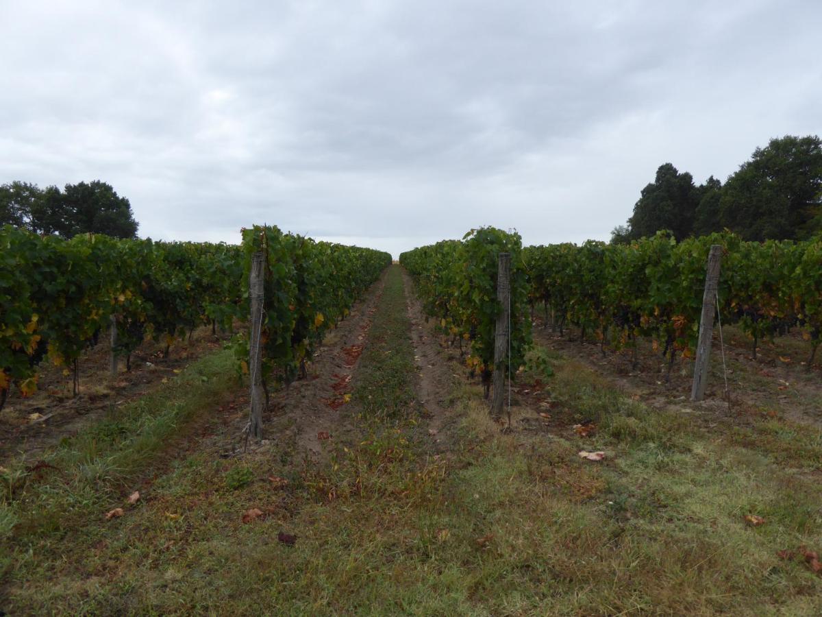 ホテル Chateau Des Salles Saint-Fort-sur-Gironde エクステリア 写真