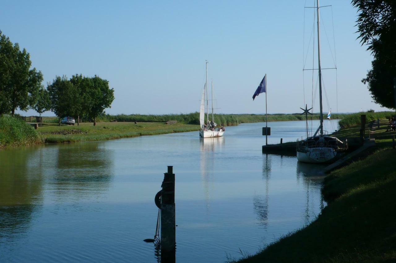 ホテル Chateau Des Salles Saint-Fort-sur-Gironde エクステリア 写真